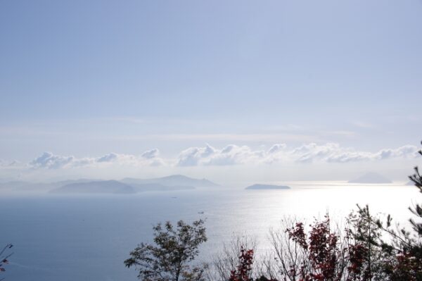 海が見える山上