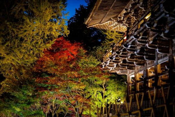 書写山円教寺　紅葉　ライトアップ