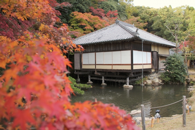 龍野公園　紅葉