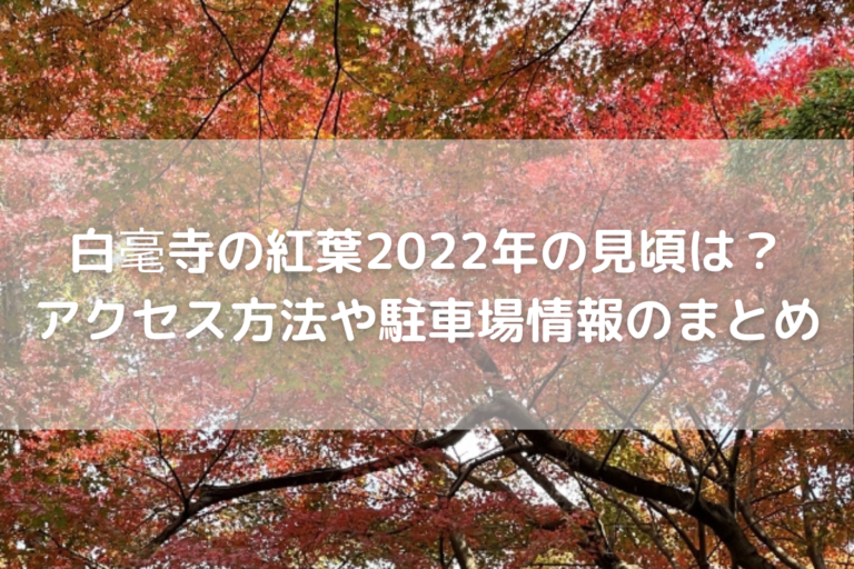 紅葉
