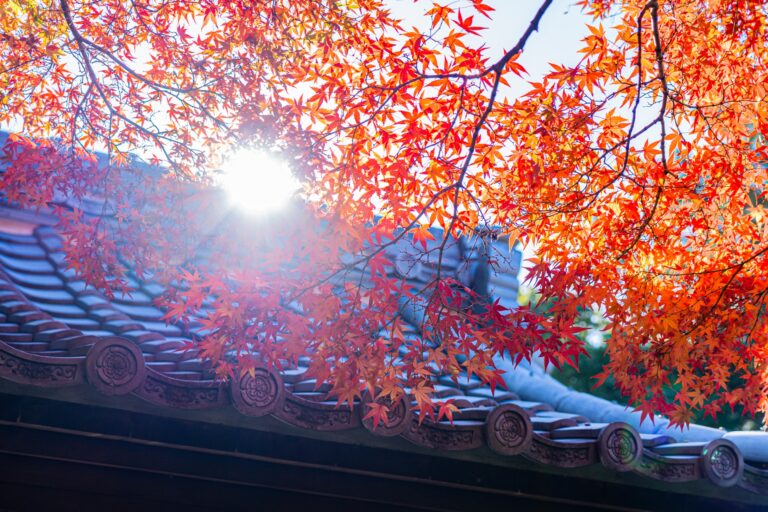 神社　紅葉