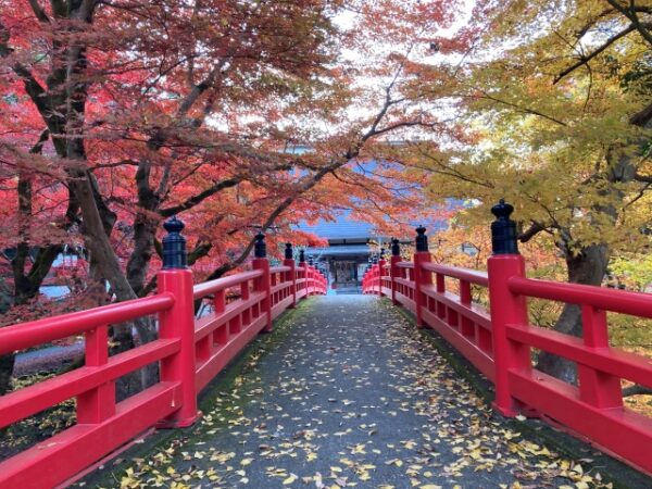 養父神社