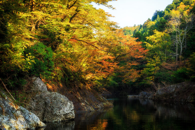 渓谷の紅葉