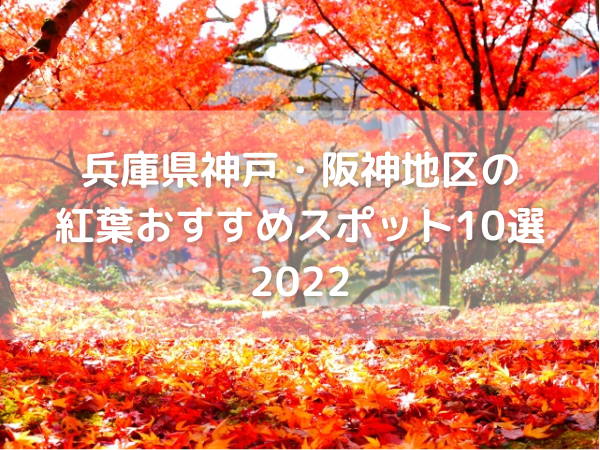 紅葉の絨毯