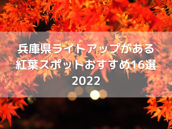 紅葉　ライトアップ