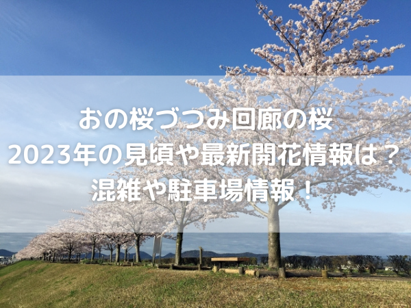 河川敷の桜並木