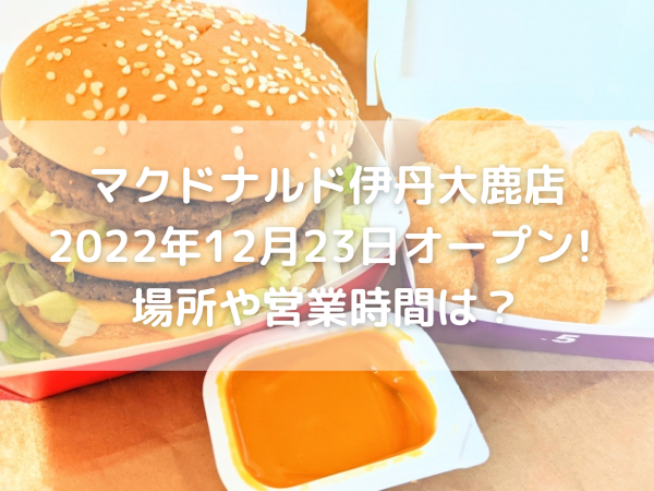 マクドナルド　ビッグマック　ナゲット　マスタードソース