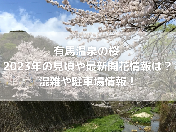 有馬川の桜