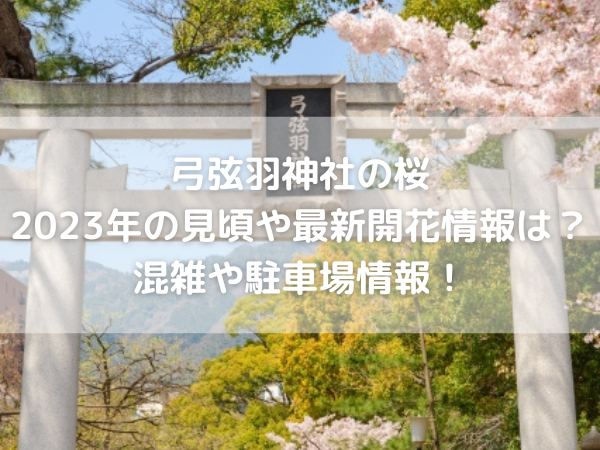 弓弦羽神社の桜