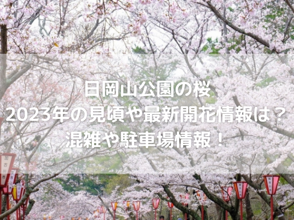 日岡山公園の桜