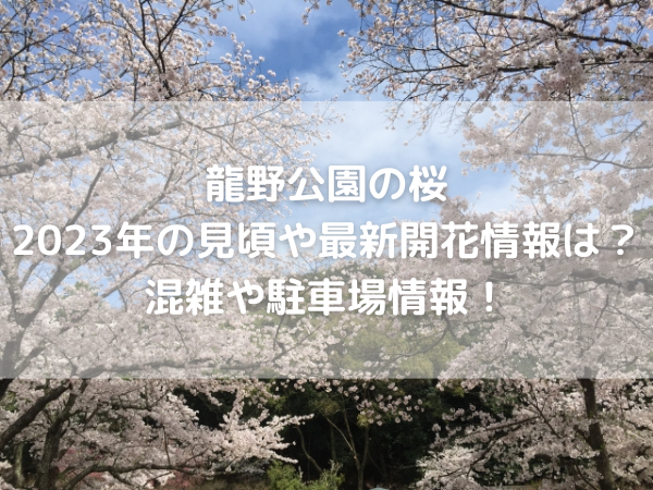 龍野公園　桜