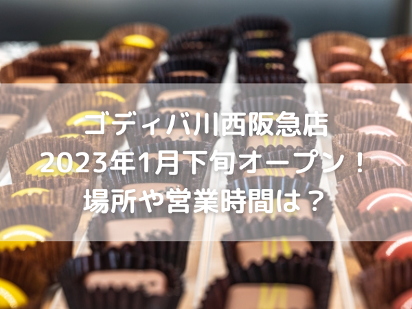 色々な高級チョコレート