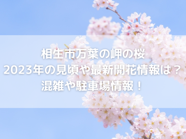 青空と桜