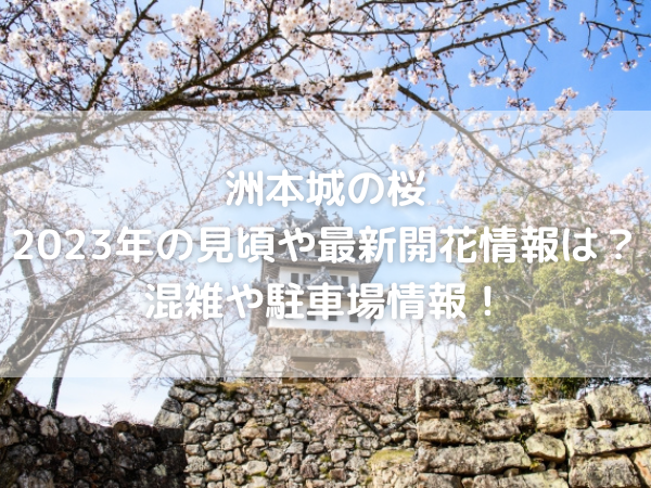 洲本城と桜