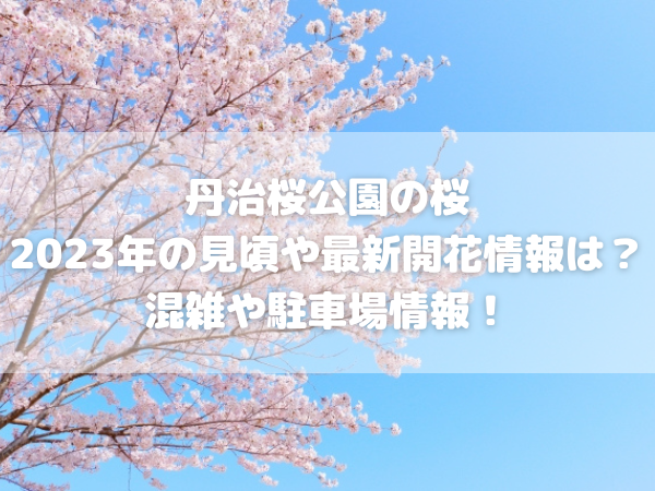 青空と桜