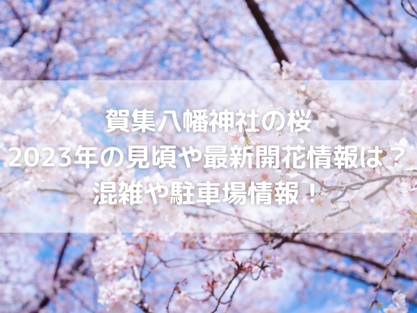 桜