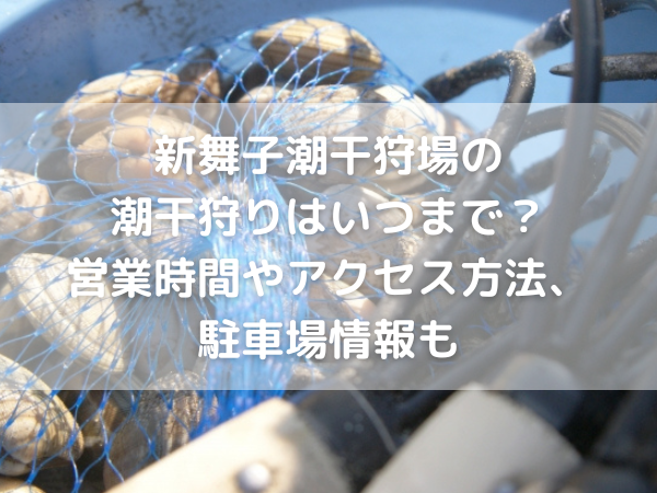 潮干狩り　バケツに入ったアサリ、くまで