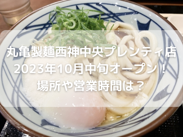 丸亀製麺のうどん